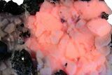 Lustrous Sphalerite on Fluorescent Manganoan Calcite - Peru #209802-6